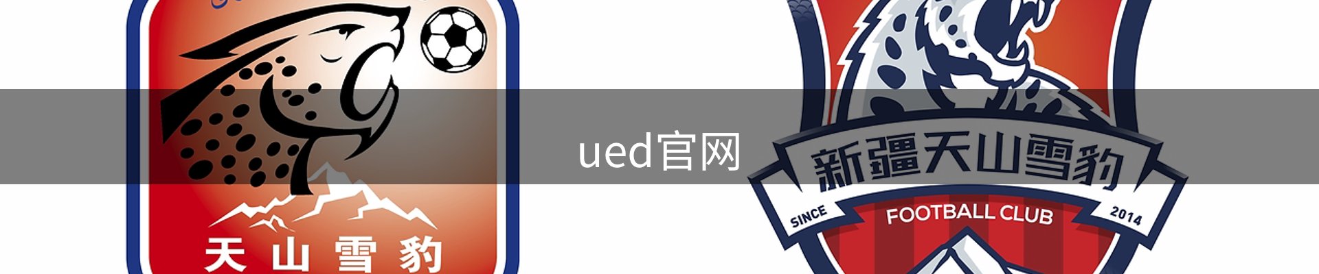 UED·(中国区)-官网